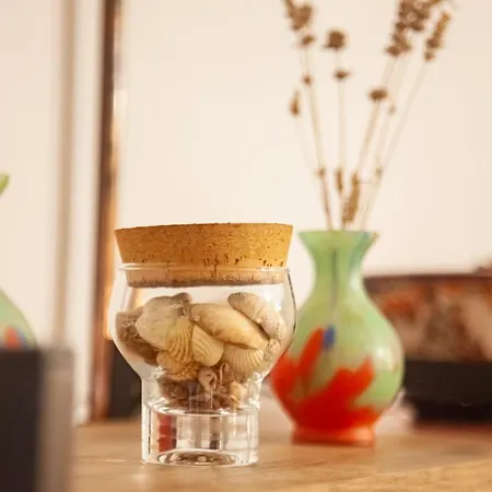 Apartment Jimmy's Cozy